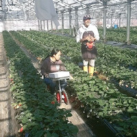 画像401