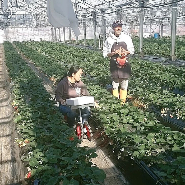 画像401